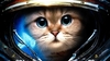 Kyddynamite3's picture